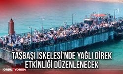 Taşbaşı İskelesi’nde Yağlı Direk Etkinliği Düzenlenecek