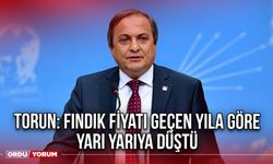 Torun: Fındık Fiyatı Geçen Yıla Göre Yarı Yarıya Düştü