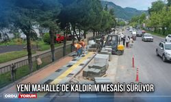 Yeni Mahalle'de Kaldırım Mesaisi Sürüyor