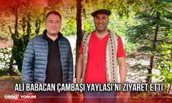 Ali Babacan Çambaşı Yaylası'nı Ziyaret Etti