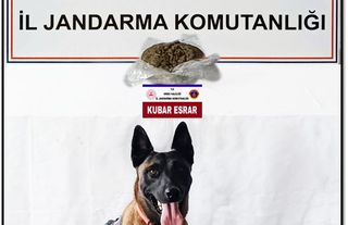Jandarma Ünye’de yarım ton esrar yakaladı