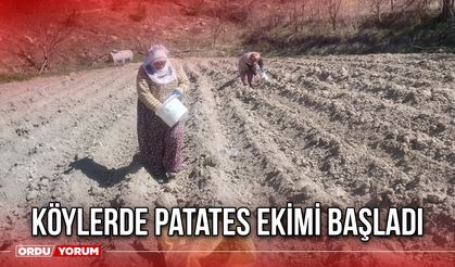 Köylerde Patates Ekimi Başladı