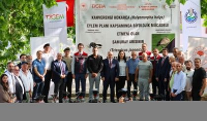Artvin'de doğaya 12 bin samuray arı salındı