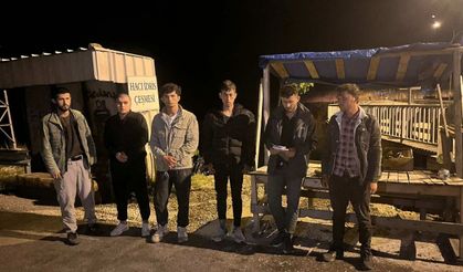 Artvin'de süt tankerinde 5 düzensiz göçmen yakalandı