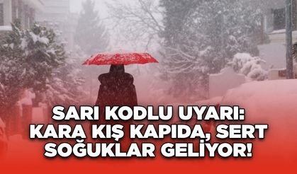 Sarı Kodlu Uyarı: Kara Kış Kapıda, Sert Soğuklar Geliyor!