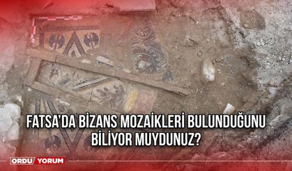 Fatsa’da Bizans Mozaikleri Bulunduğunu Biliyor Muydunuz?