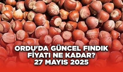Ordu'da güncel fındık fiyatı ne kadar? 27 Mayıs 2025