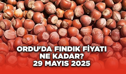 Ordu'da fındık fiyatı ne kadar? 29 Mayıs 2025