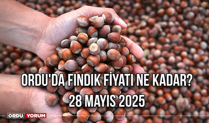 Ordu'da fındık fiyatı ne kadar? 28 Mayıs 2025