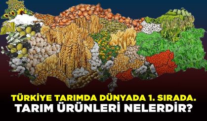 Türkiye tarımda Dünyada 1. Sırada. Tarım ürünleri nelerdir?