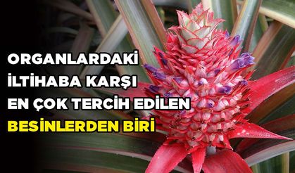 Organlardaki İltihaba Karşı En Çok Tercih Edilen Besinlerden Biri