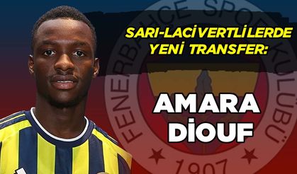 Sarı-Lacivertlilerde  Yeni Transfer: Amara Diouf