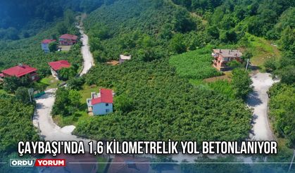Çaybaşı'nda 1,6 Kilometrelik Yol Betonlanıyor