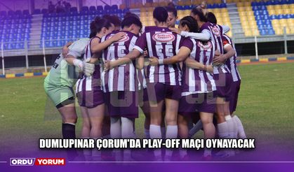Dumlupınar Çorum'da Play-Off Maçı Oynayacak