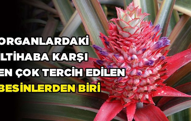 Organlardaki İltihaba Karşı En Çok Tercih Edilen Besinlerden Biri