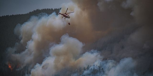 İspanya'nın Kuzeyindeki Orman Yangınları Üç Haftadır Sürüyor