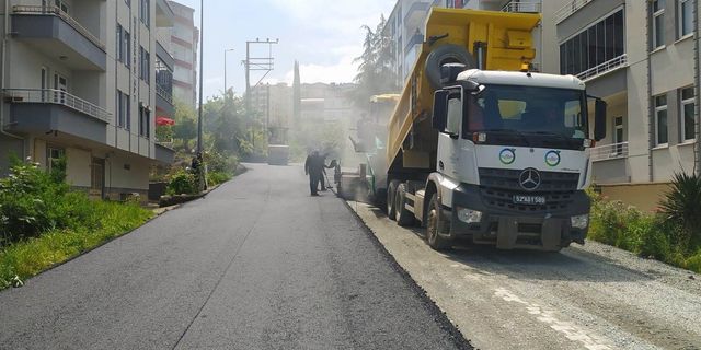 OBB, Ünye'de asfalt çalışması yapıyor