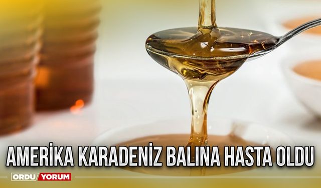 Amerika Karadeniz balına hasta oldu