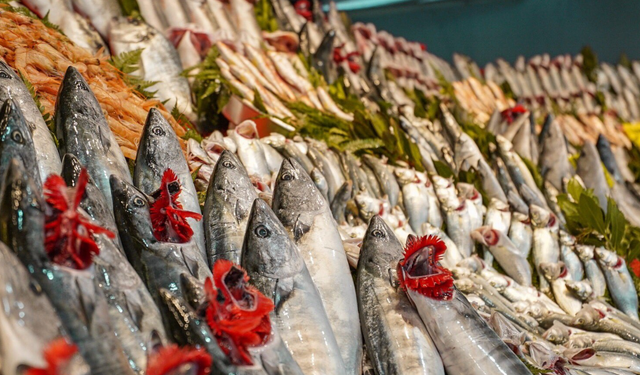 Balık Yemenin Faydaları: Balık Tüketimi Neden Önemlidir?