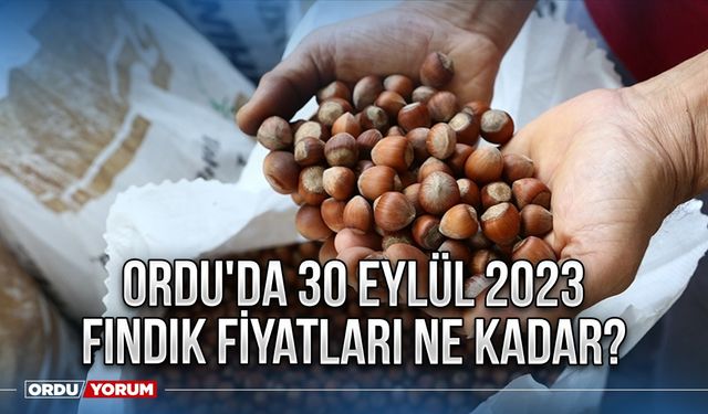 Ordu'da 30 Eylül 2023 fındık fiyatları ne kadar?