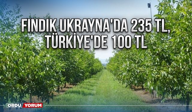 Fındık Ukrayna'da 235 TL, Türkiye'de 100 TL
