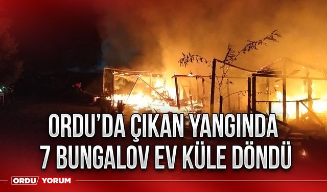 Ordu’da çıkan yangında 7 bungalov ev küle döndü