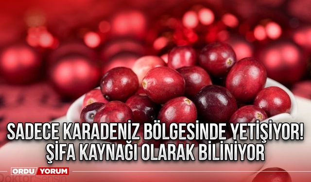 Sadece Karadeniz Bölgesinde yetişiyor! Şifa kaynağı olarak biliniyor
