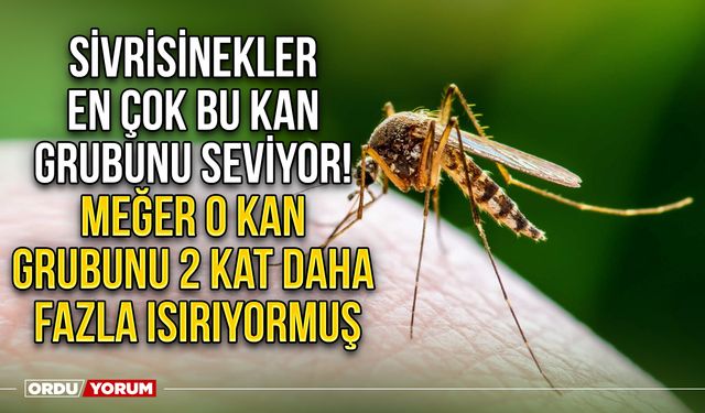 Sivrisinekler en çok bu kan grubunu seviyor! Meğer o kan grubunu 2 kat daha fazla ısırıyormuş