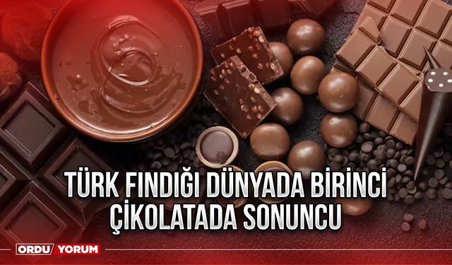 Türk fındığı dünyada birinci çikolatada sonuncu
