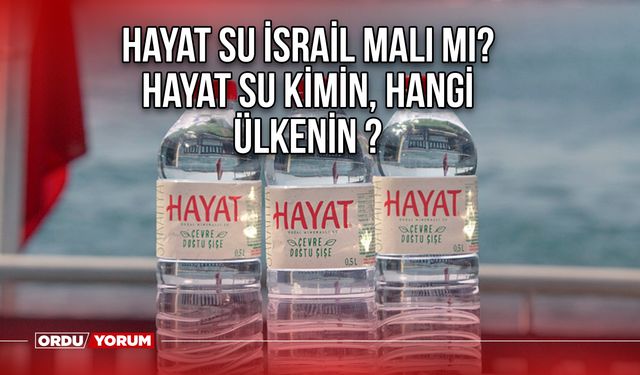Hayat su İsrail malı mı? Hayat su kimin, hangi ülkenin ?