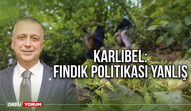 Karlıbel: Fındık politikası yanlış