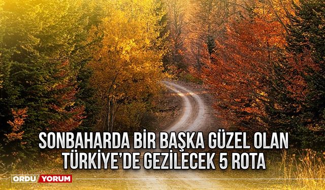 Sonbaharda bir başka güzel olan Türkiye’de gezilecek 5 rota