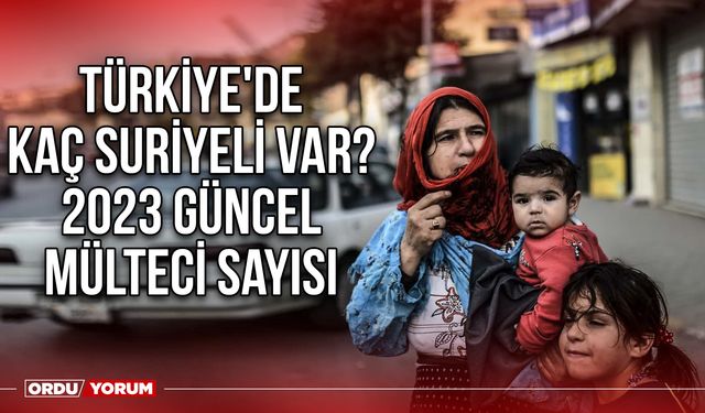 Türkiye'de kaç suriyeli var? 2023 güncel mülteci sayısı