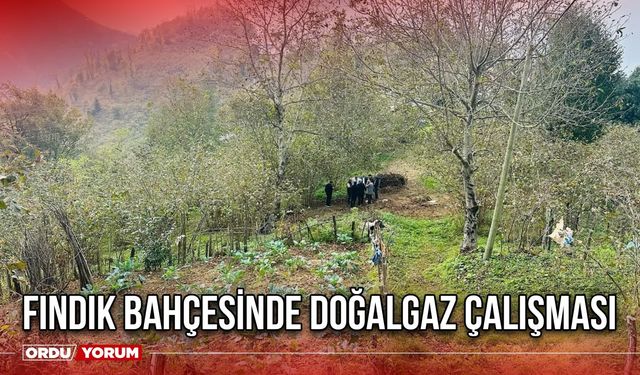 Fındık bahçesinde doğalgaz çalışması