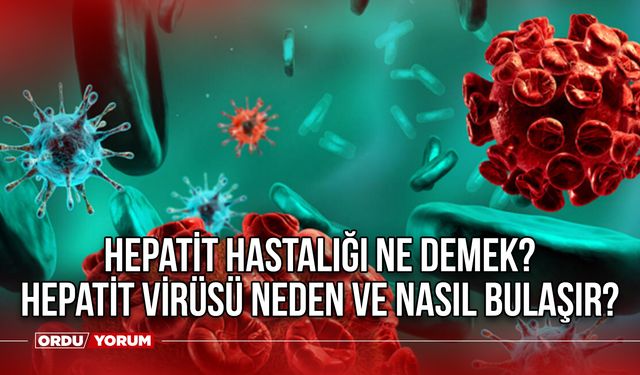 Hepatit hastalığı ne demek? Hepatit virüsü neden ve nasıl bulaşır? Hepatit belirtileri nelerdir?