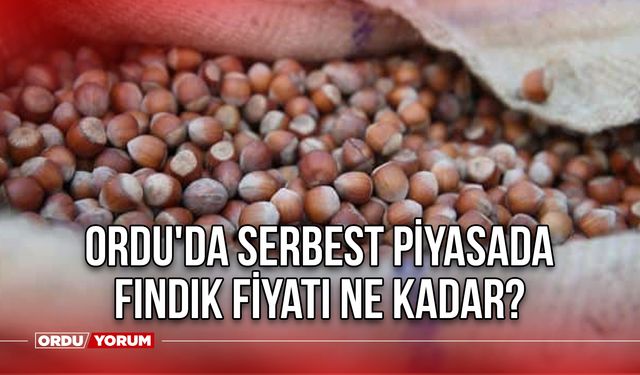 Ordu'da serbest piyasada fındık fiyatı ne kadar? 23 Kasım 2023 fındık fiyatı