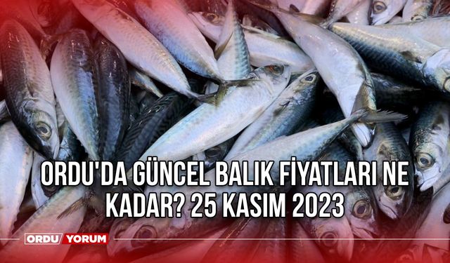 Ordu'da güncel balık fiyatları ne kadar? 25 Kasım 2023