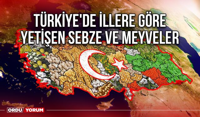 Türkiye'de İllere Göre Yetişen Sebze Ve Meyveler