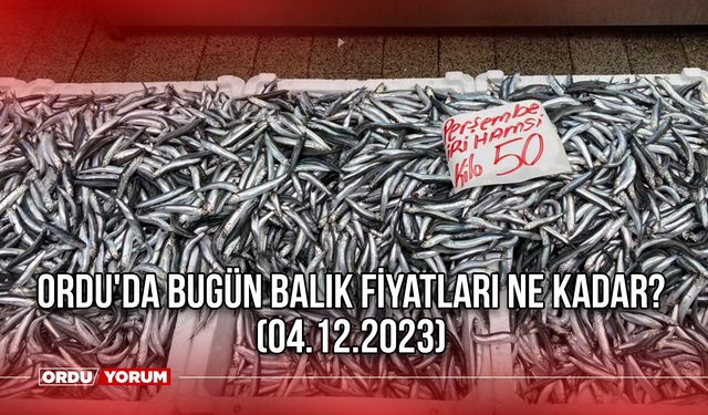 Ordu'da Bugün Balık Fiyatları Ne Kadar? (04.12.2023)