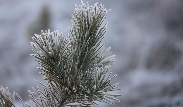 Kars'ta soğuk hava etkili oluyor