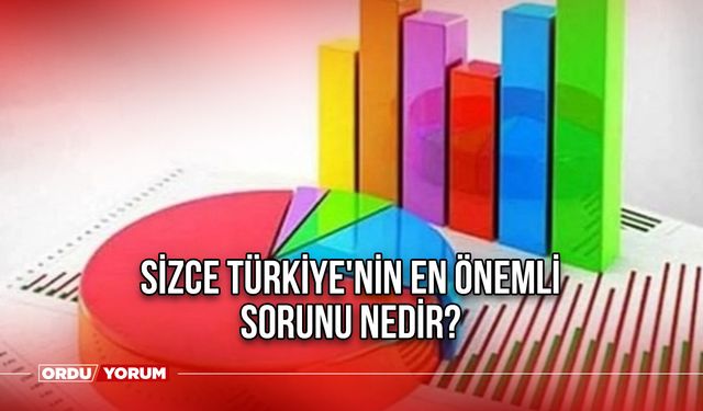 Sizce Türkiye'nin en önemli sorunu nedir?