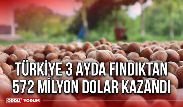 Türkiye 3 Ayda Fındıktan 572 Milyon Dolar Kazandı