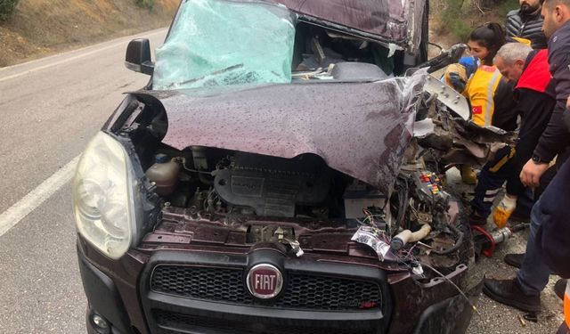 Tokat'ta pikapla kamyonetin çarpıştığı kazada 2 kişi yaralandı