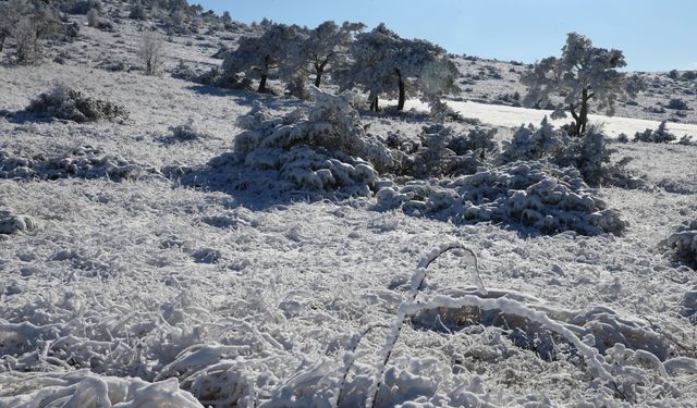 Tokat'ta yüksek kesimlerde kar kalınlığı 20 santimetreye ulaştı