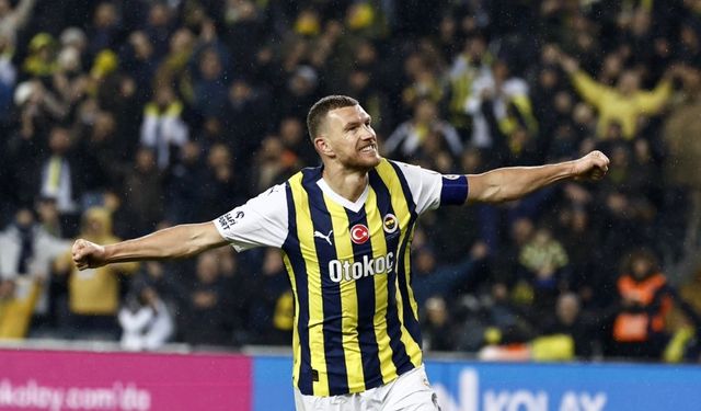 Fenerbahçe Konyaspor maç özeti ve gollerin videosu 7-1