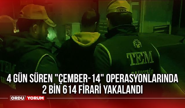 4 Gün Süren "Çember-14" Operasyonlarında 2 bin 614 Firari Yakalandı