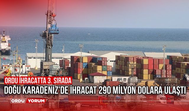 Doğu Karadeniz'de ihracat 290 milyon dolara ulaştı! Ordu ihracatta 3. sırada