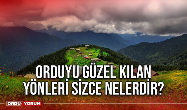 Orduyu güzel kılan yönleri sizce nelerdir?