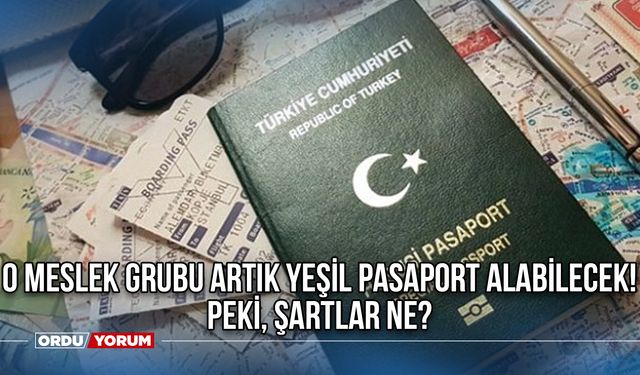 Yeşil Pasaportu Kimler Alabilir? Yeşil Pasaport Şartları Nelerdir?