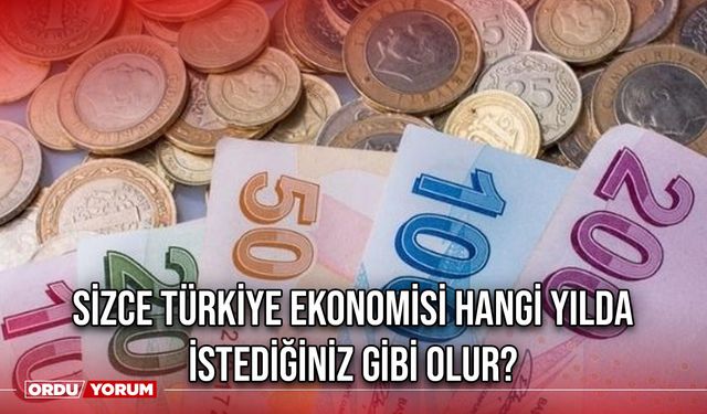 Sizce Türkiye ekonomisi hangi yılda istediğiniz gibi olur?